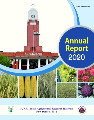 Annual Report 2020